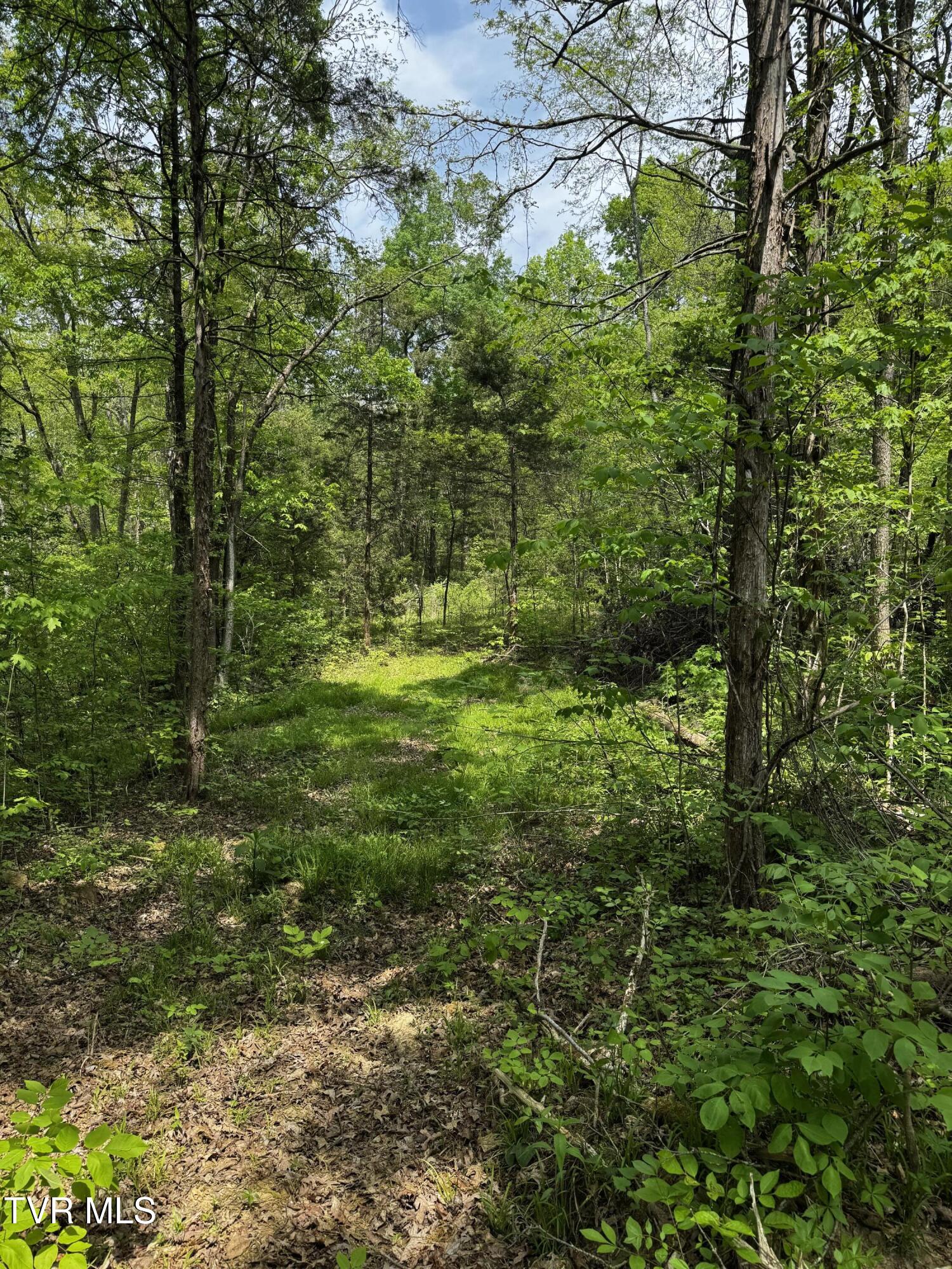 5.23 Ac Dogwalk Road