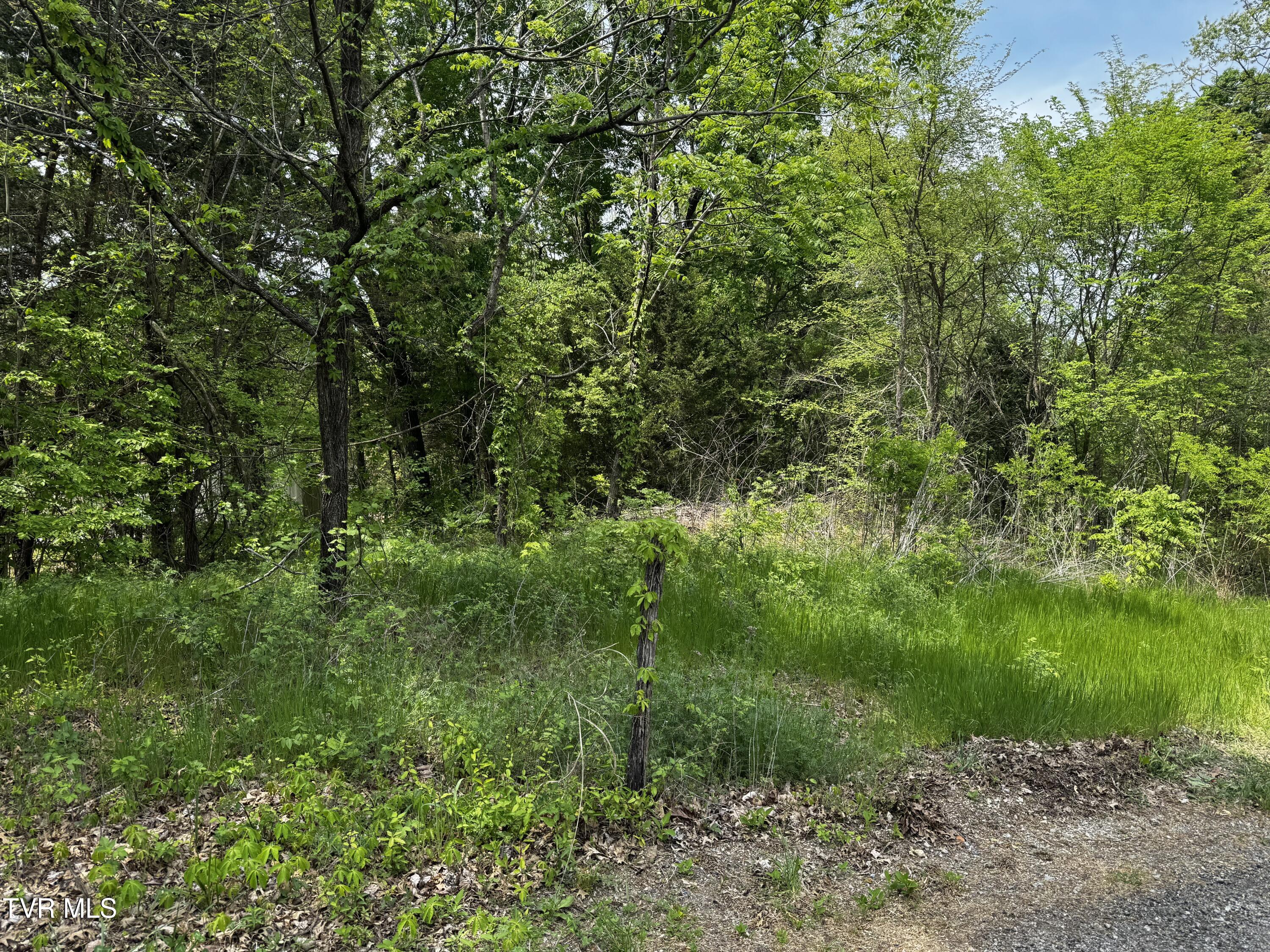 5.23 Ac Dogwalk Road