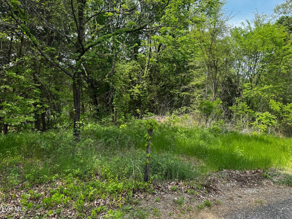 Photo of 523 Dogwalk Road, Greeneville, TN 37745 (MLS # 9992269)