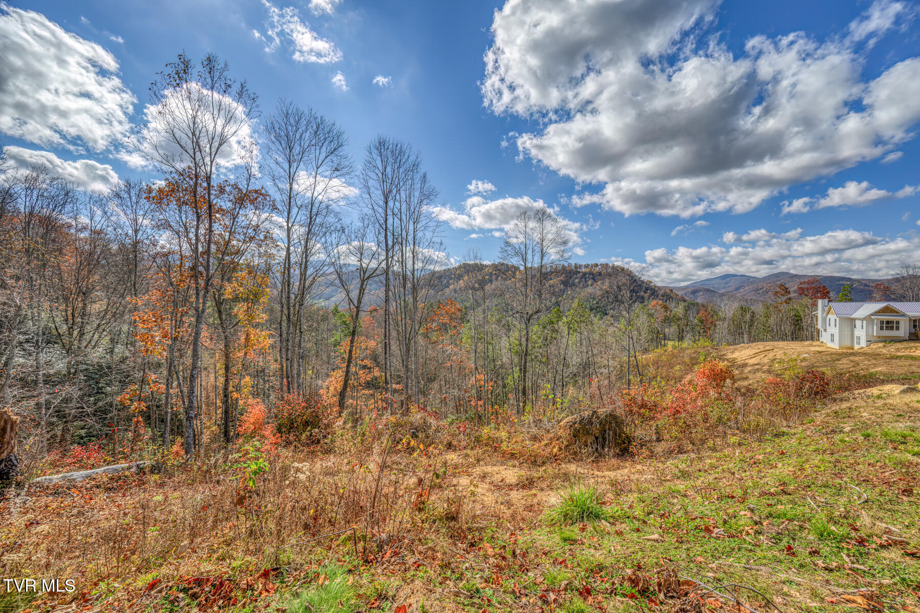 169 Teaberry Road, Roan Mountain, Tennessee image 45