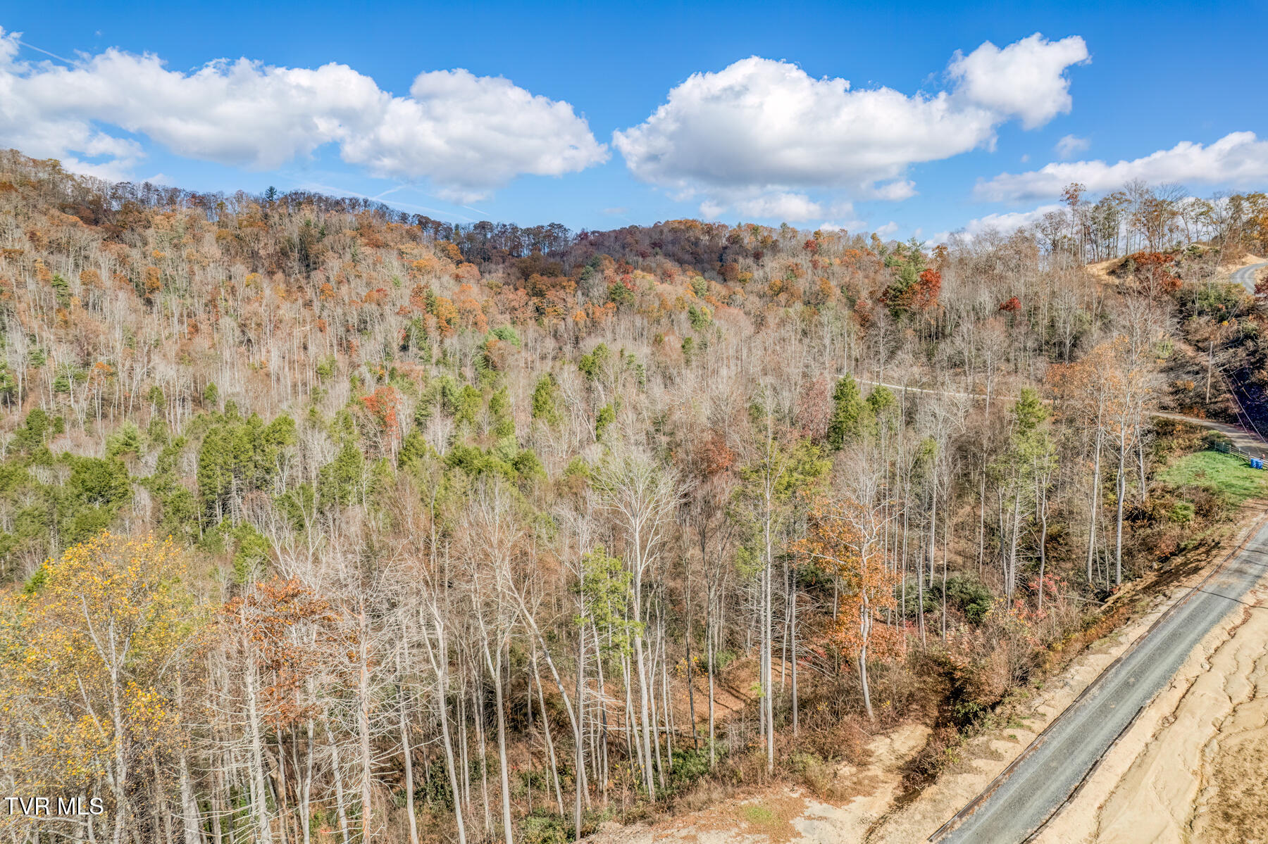 169 Teaberry Road, Roan Mountain, Tennessee image 19
