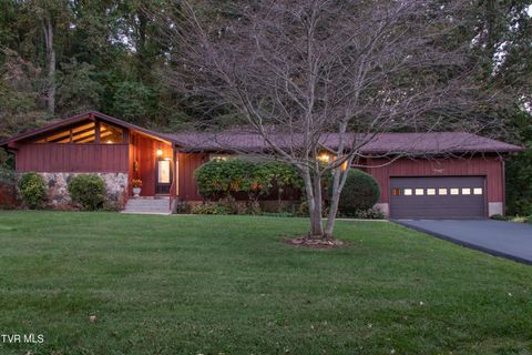 Photo of 521 Brookwood Drive, Bristol, TN 37620 (MLS # 9986750)