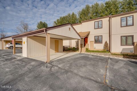 Photo of 1175 Pebble Drive #1175, Bristol, VA 24201 (MLS # 9990913)