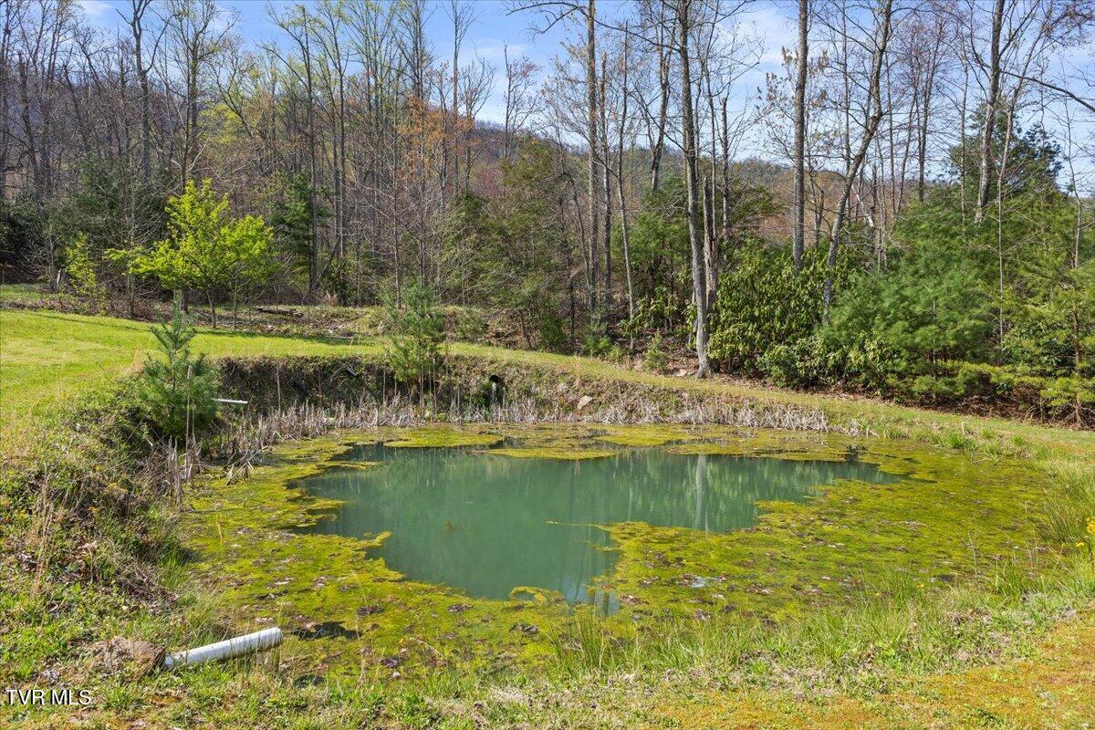 1102 Foxhound Hills Circle, Unicoi, Tennessee image 33