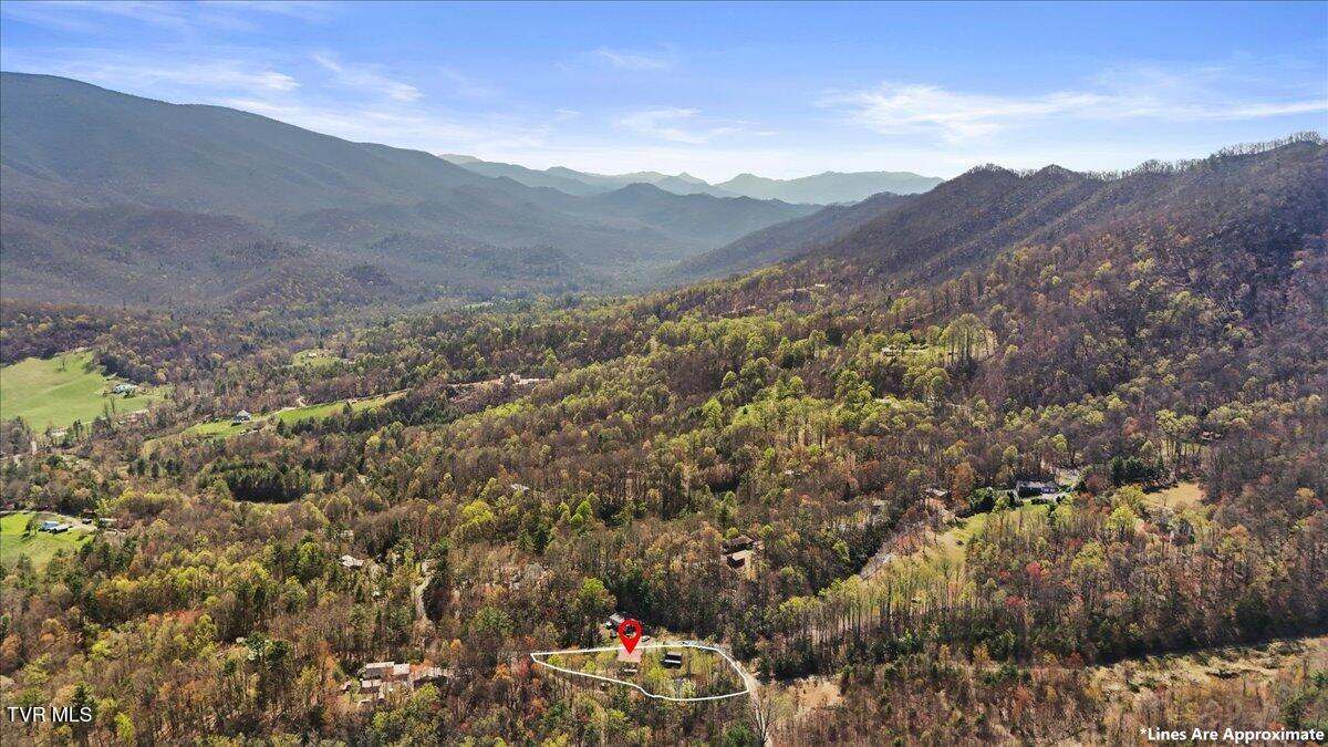 1102 Foxhound Hills Circle, Unicoi, Tennessee image 49