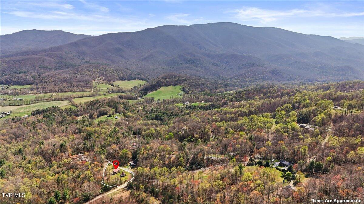 1102 Foxhound Hills Circle, Unicoi, Tennessee image 48