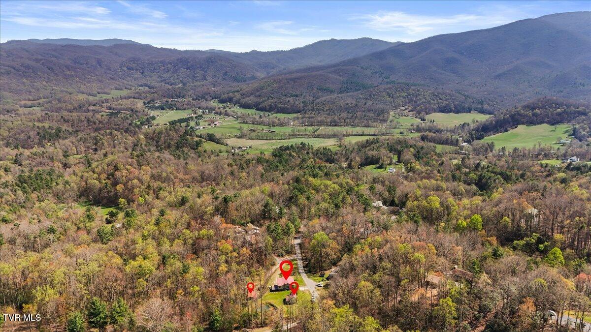 1102 Foxhound Hills Circle, Unicoi, Tennessee image 3