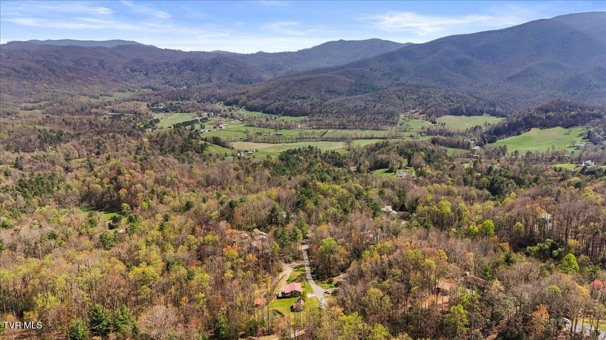 1102 Foxhound Hills Circle, Unicoi, Tennessee image 47