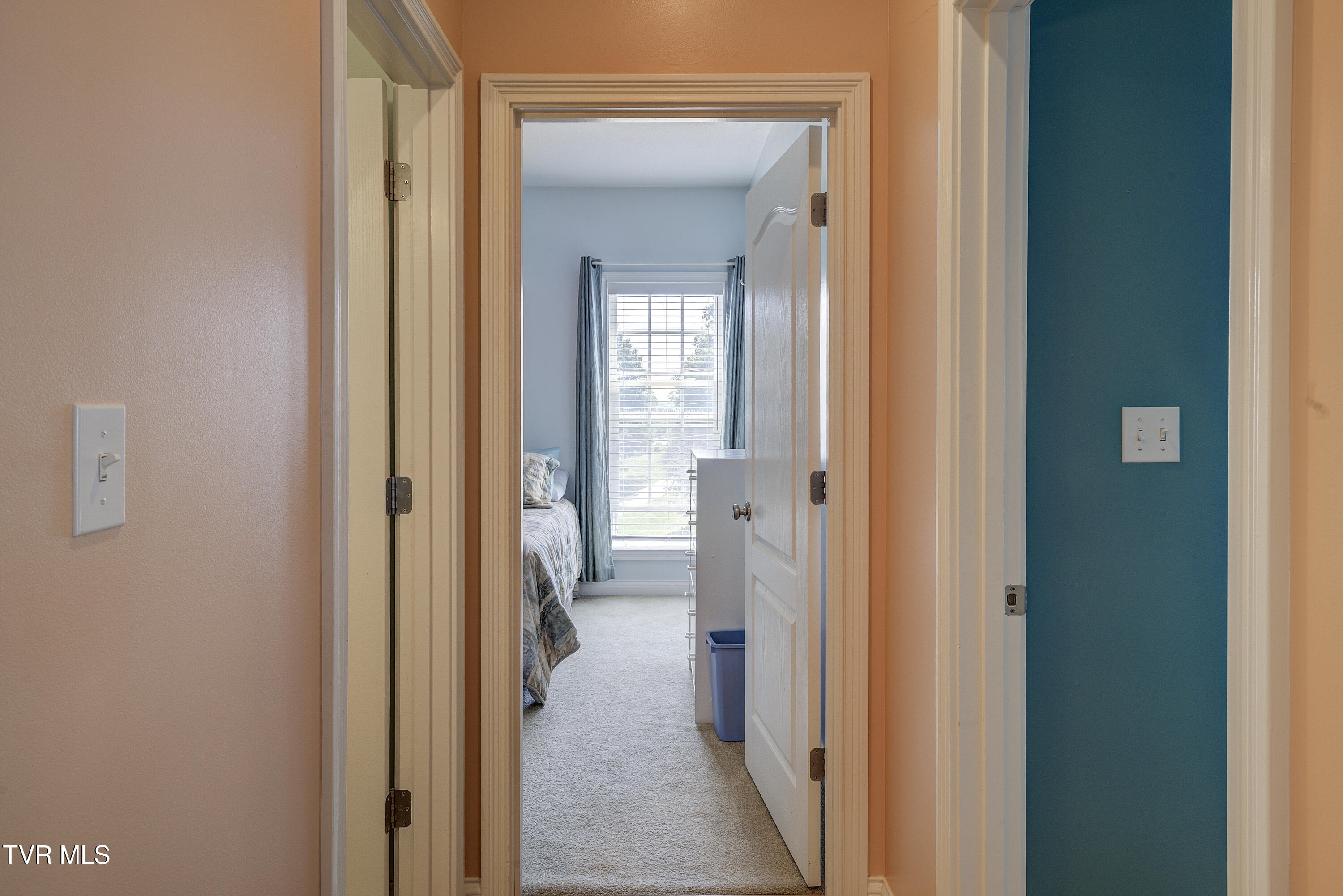 41 Olivia Lee Court, Jonesborough, Tennessee image 38