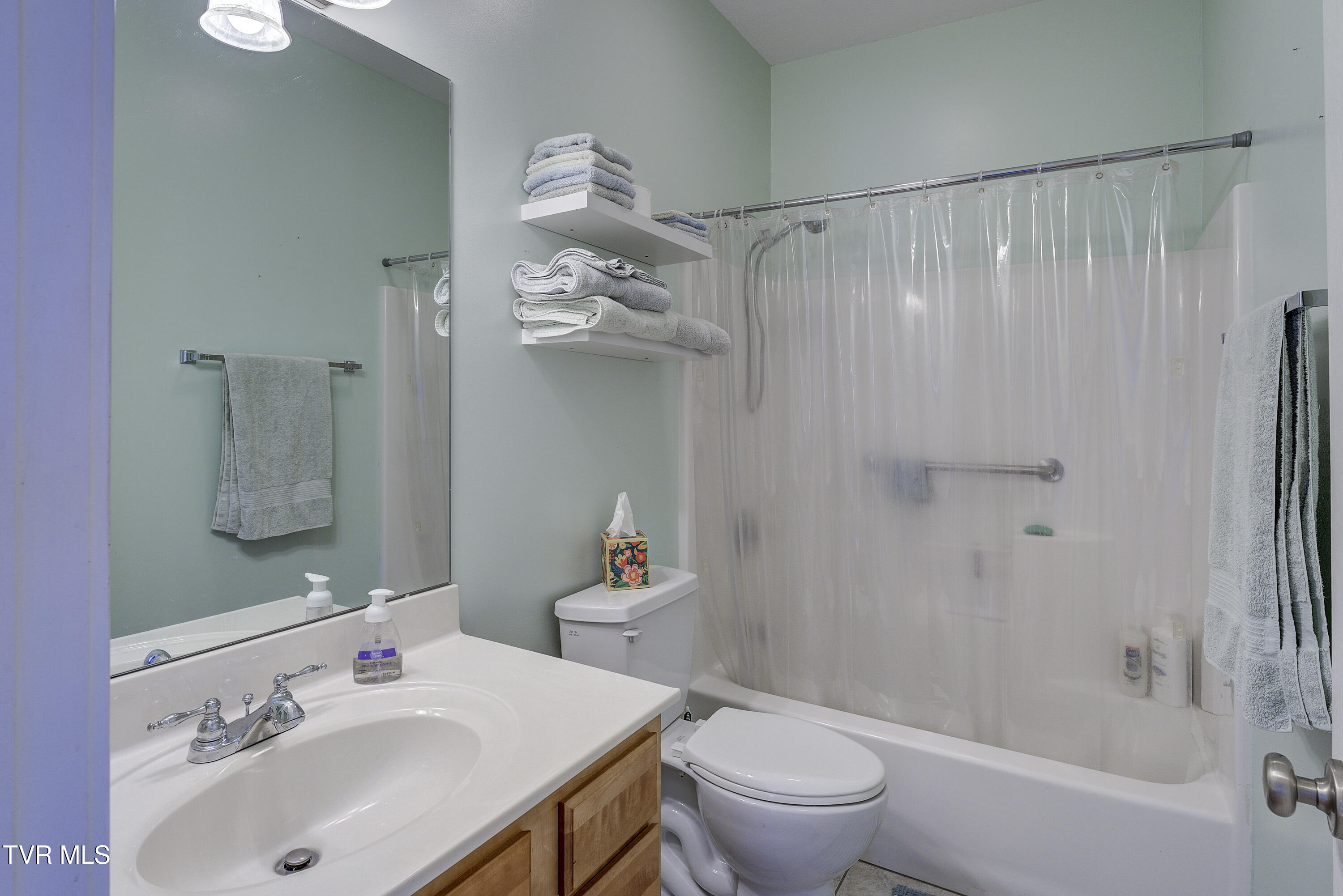 41 Olivia Lee Court, Jonesborough, Tennessee image 41