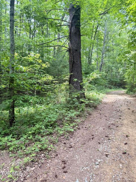 Photo of 00 Tennessee Way, Del Rio, TN 37727 (MLS # 9995594)
