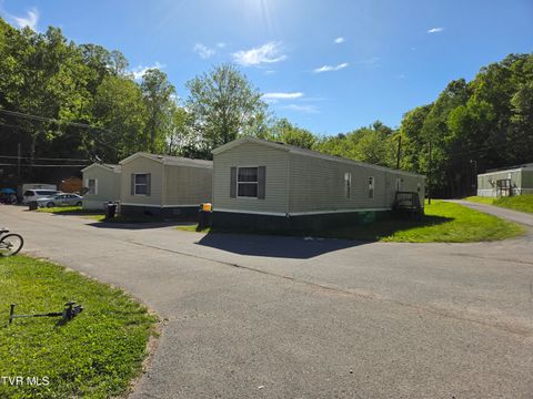 Photo of 3103 Juneberry Road, Big Stone Gap, VA 24219 (MLS # 9995172)