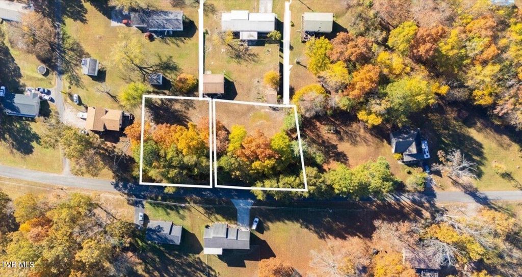 Photo of 274 Idlewild Drive, White Pine, TN 37890 (MLS # 9990552)