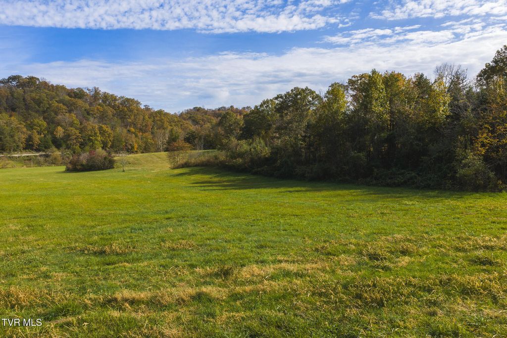 Photo of 1619 Lynn Flanary Road, Blackwater, VA 24221 (MLS # 9987980)