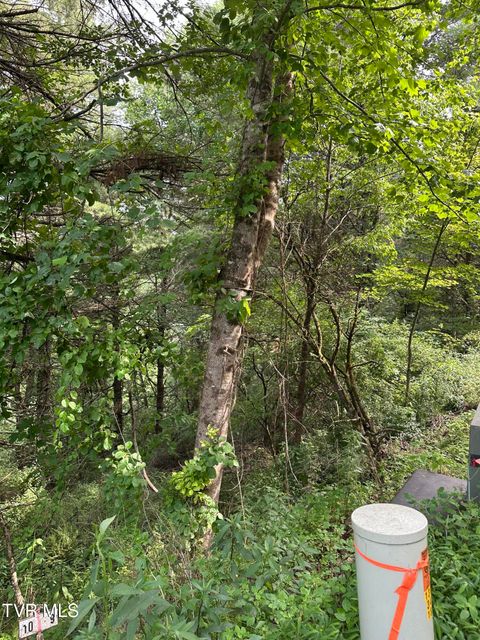 Vacant Land For Sale - LOT 9 Laurelwood Lane<br/> Johnson County, Mountain City, TN 37683