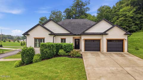 Photo of 5 Momma Lou Court, Jonesborough, TN 37659 (MLS # 9998820)