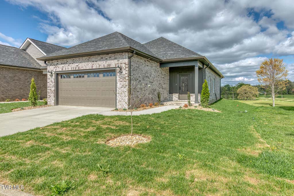 Photo of 313 Monroe Drive, Bristol, TN 37620 (MLS # 9998877)