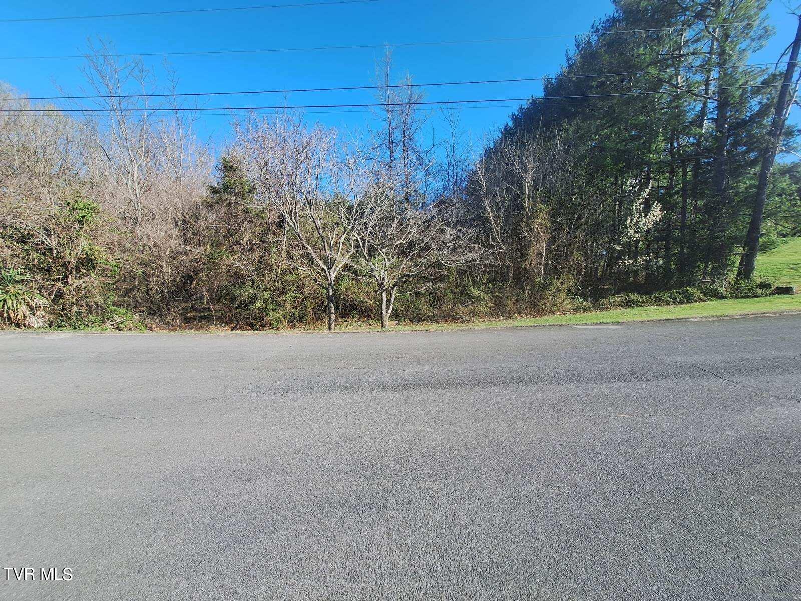 00 Sioux Trail, Greeneville, Tennessee image 2