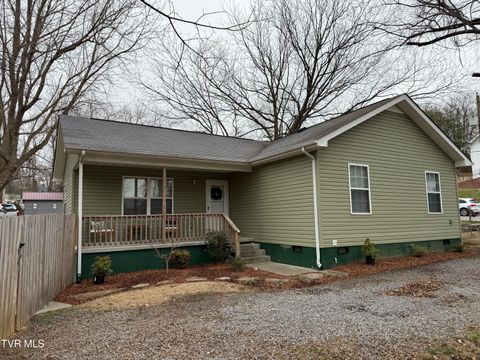 304 Depot Street Jonesborough TN 37659