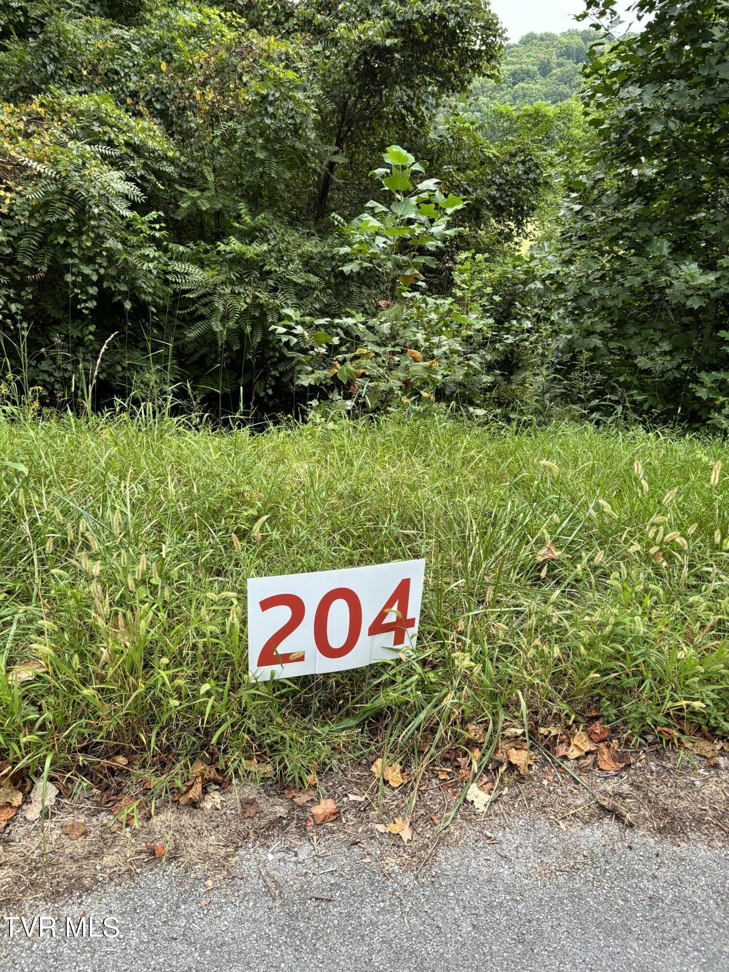 204 Ox Bow Ave, Unicoi, Tennessee image 1