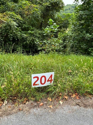 115 BOOS LN, UNICOI, TN 37692 - Image 5a802c83ab3c2d221c7a5cf64be457e2/1460742852