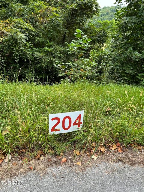 Vacant Land For Sale - 204 Ox Bow Ave<br/> Unicoi County, Unicoi, TN 37692