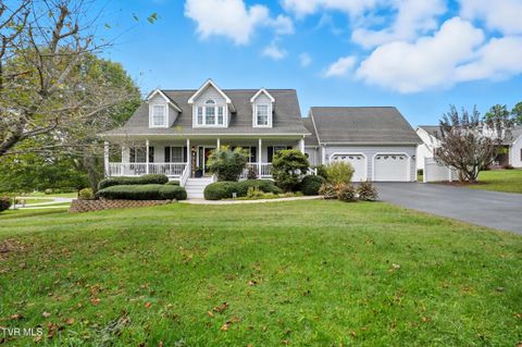 Photo of 19077 Lexi Drive, Abingdon, VA 24210 (MLS # 9986459)