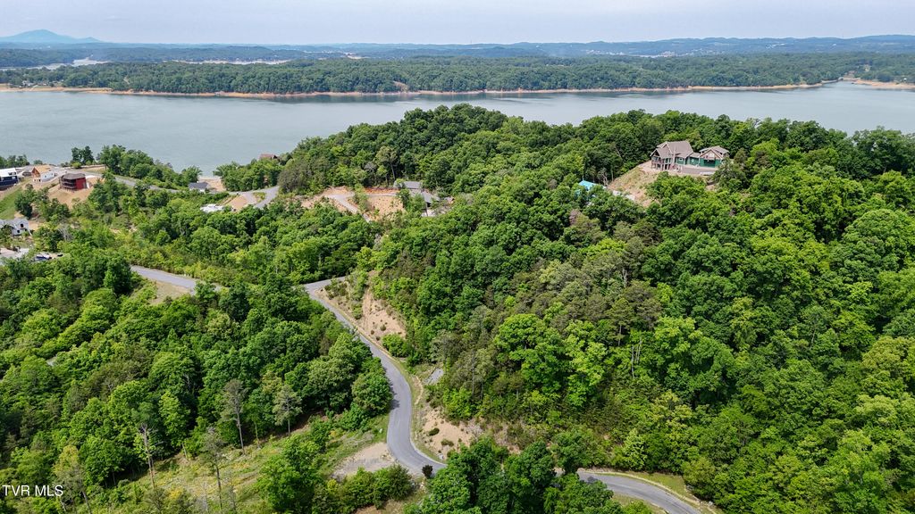 Photo of 79 Stone Bridge Drive, Dandridge, TN 37725 (MLS # 9998665)