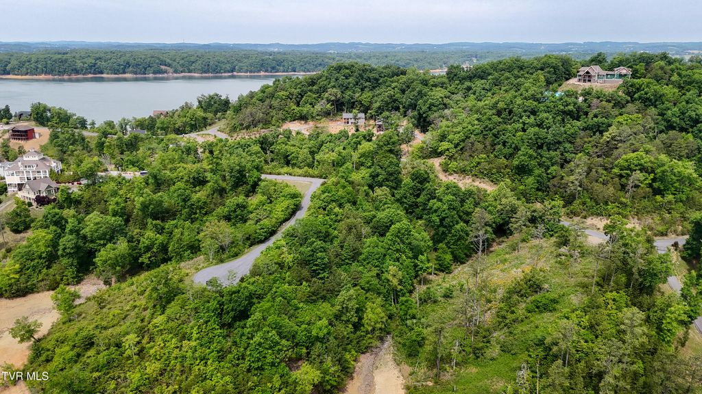 Photo of 79 Stone Bridge Drive, Dandridge, TN 37725 (MLS # 9998665)