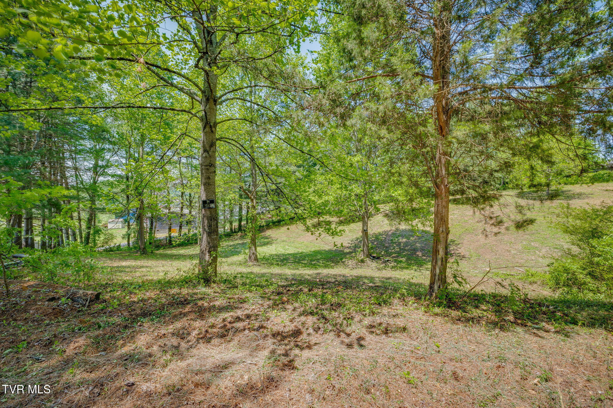 Lot 72 Woodbury Drive, Johnson City, Tennessee image 11