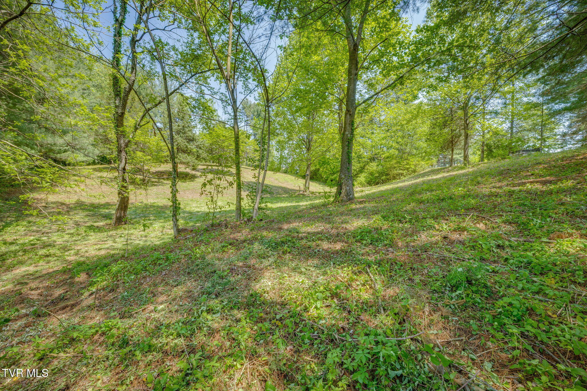 Lot 72 Woodbury Drive, Johnson City, Tennessee image 12