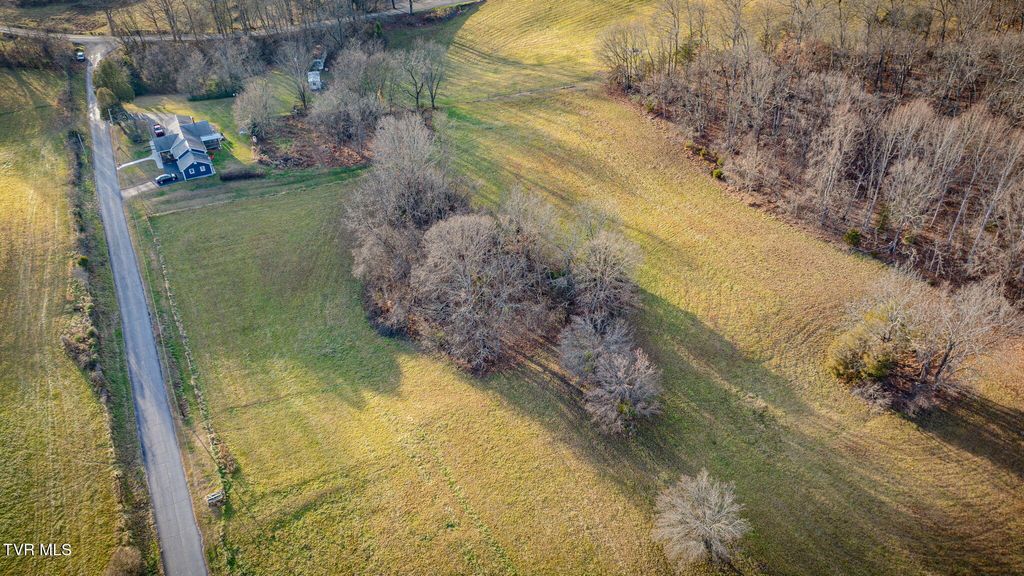 Photo of Tbd Henry Lane, Kingsport, TN 37663 (MLS # 9989222)