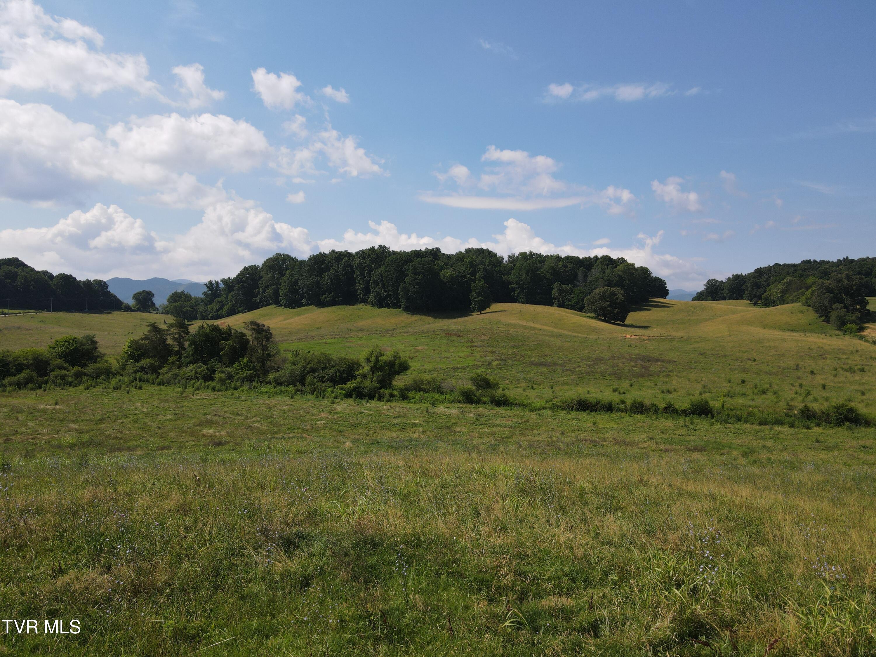 Tbd Bailey Bridge Rd, Limestone, Tennessee image 4
