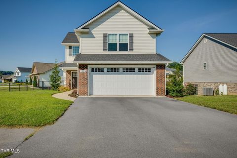 Photo of 1329 Lemongrass Drive, Jonesborough, TN 37659 (MLS # 9991754)