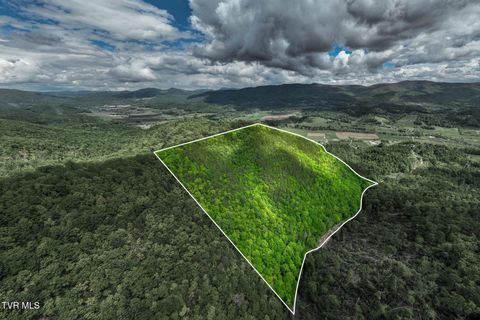 Vacant Land For Sale - TBD Fire Tower Road<br/> Johnson County, Mountain City, TN 37683