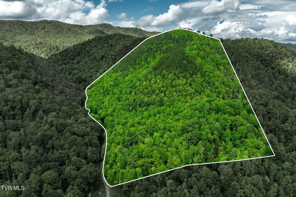 Photo of Tbd Fire Tower Road, Mountain City, TN 37683 (MLS # 9989880)