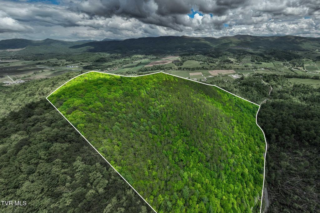 Photo of Tbd Fire Tower Road, Mountain City, TN 37683 (MLS # 9989880)