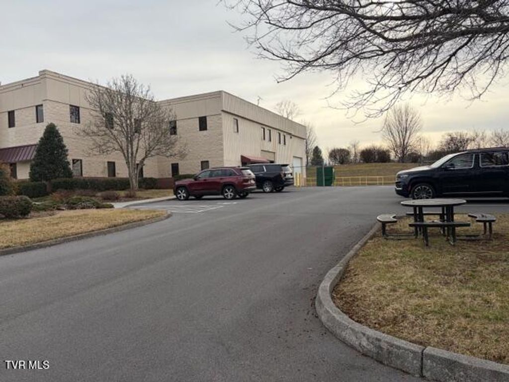 Photo of 245 Birch Street, Blountville, TN 37617 (MLS # 9991426)