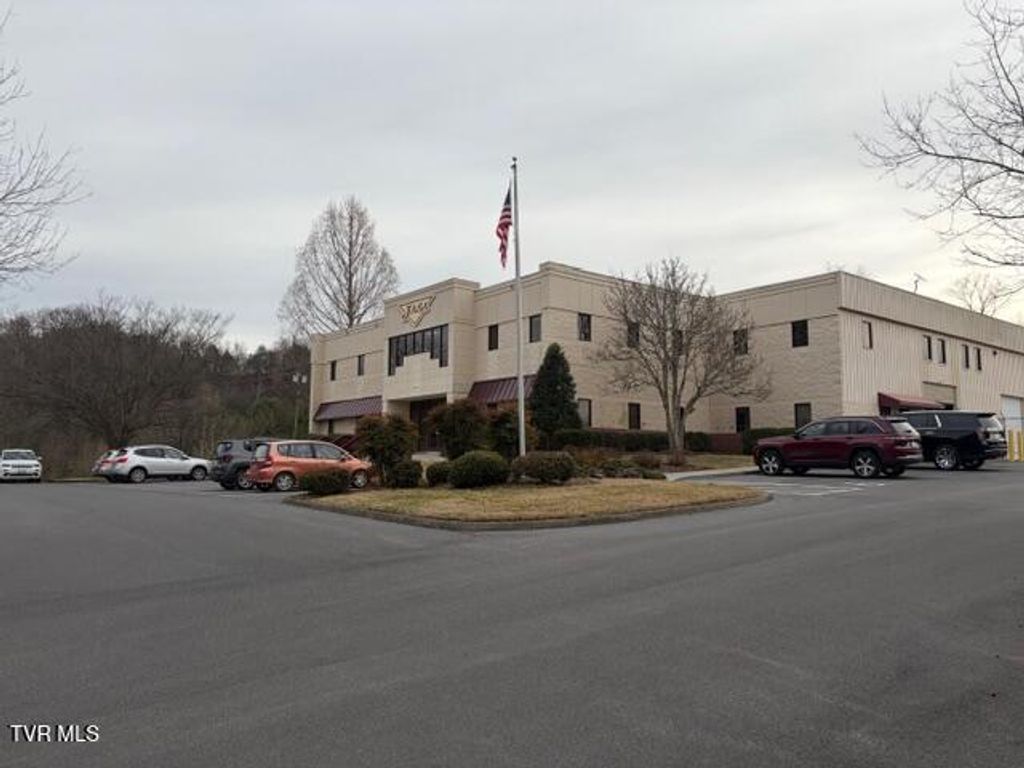 Photo of 245 Birch Street, Blountville, TN 37617 (MLS # 9991426)