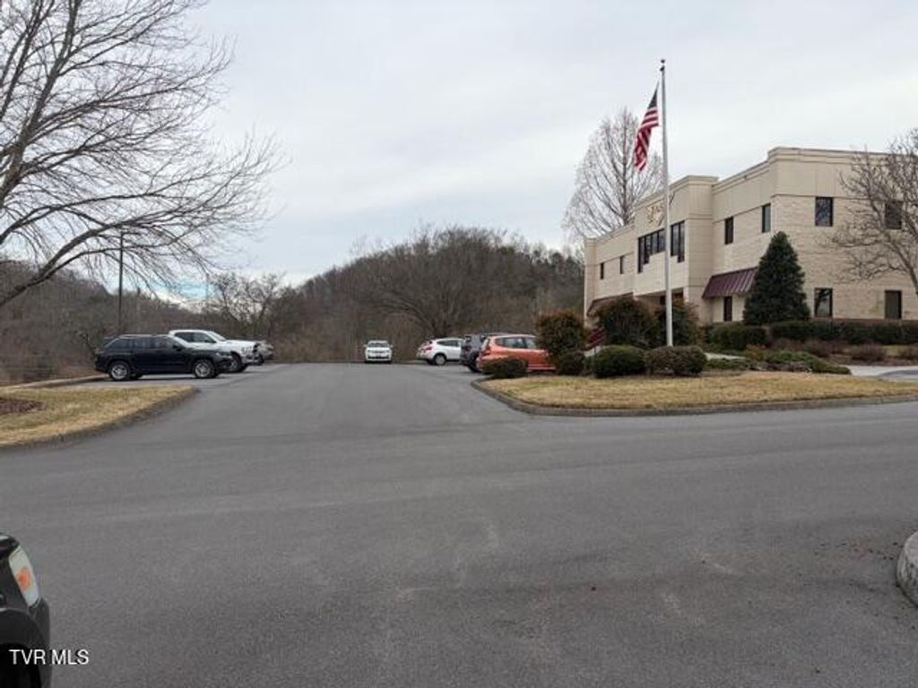 Photo of 245 Birch Street, Blountville, TN 37617 (MLS # 9991426)