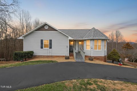 Photo of 300 Poplar Grove Road, Kingsport, TN 37664 (MLS # 9990314)