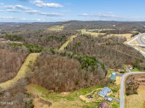 Vacant Land For Sale - TBD Pond Springs Road<br/> Kingsport, TN 37660
