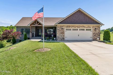 198 Manor Lane Jonesborough TN 37659