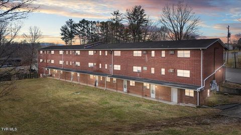 1106 Fremont Drive Johnson City TN 37601