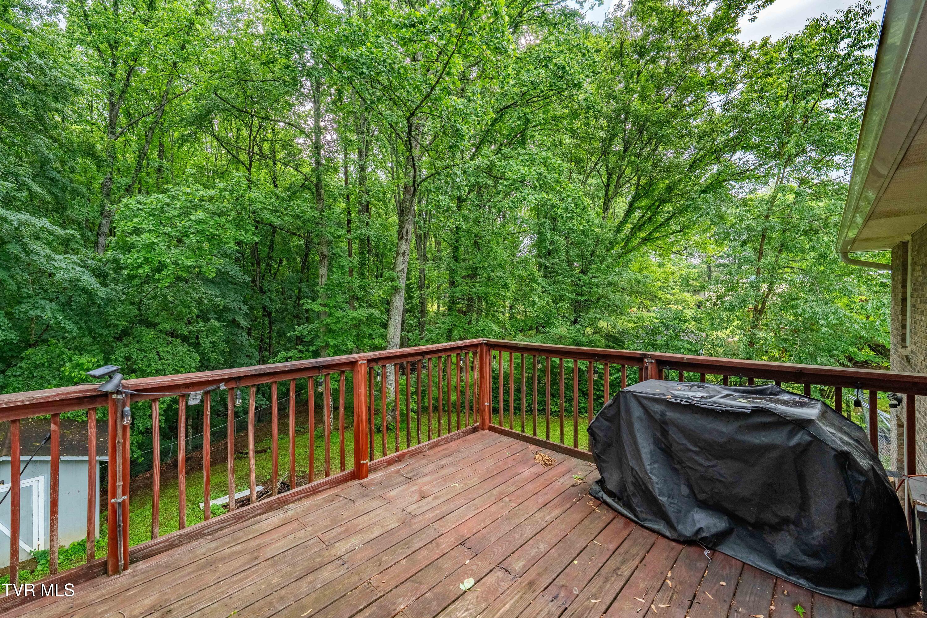484 Pleasant Hill Road, Blountville, Tennessee image 37