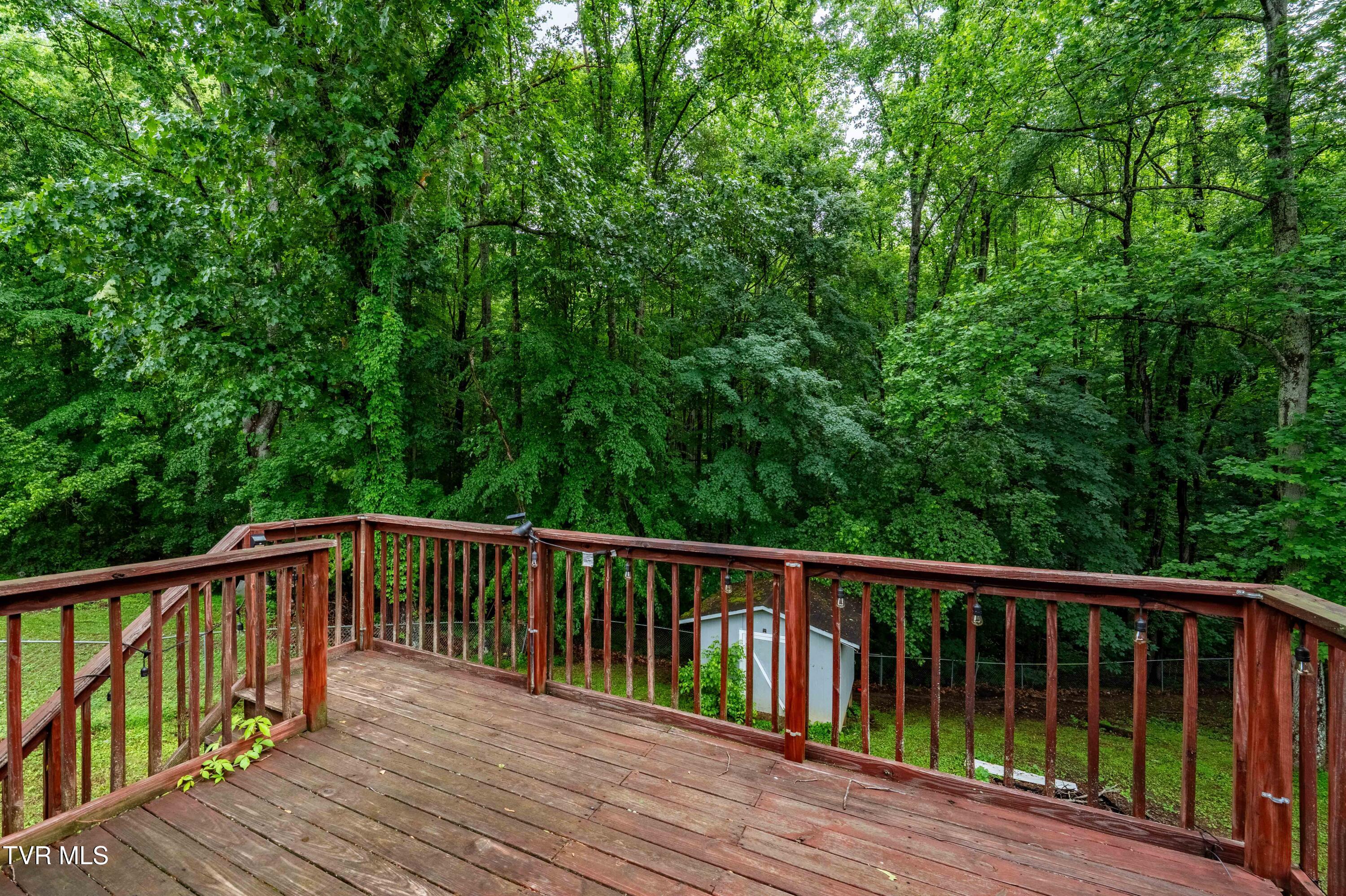 484 Pleasant Hill Road, Blountville, Tennessee image 38