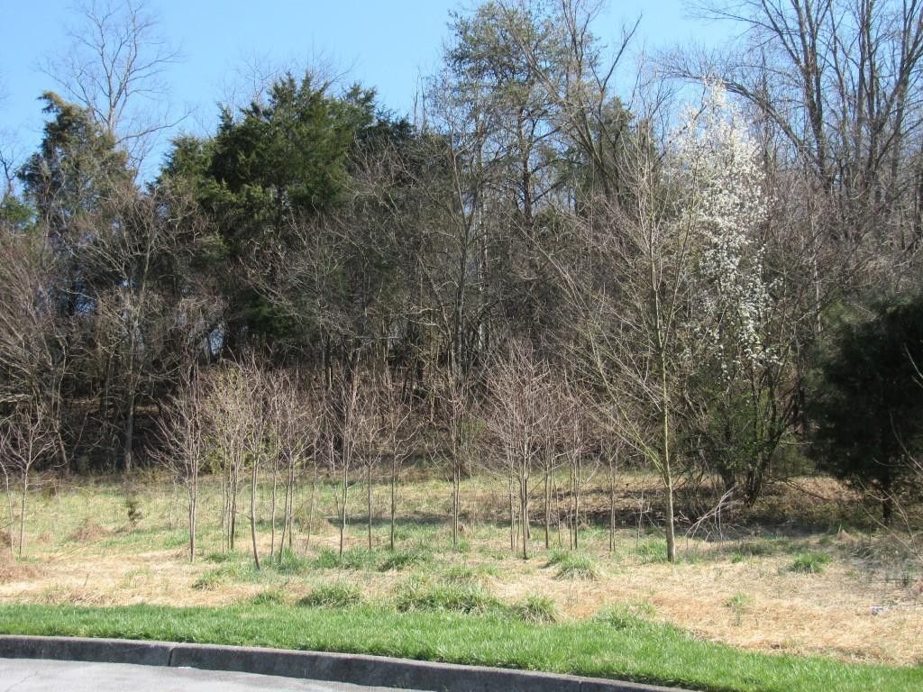 Photo of 3 Lockport Circle, Kingsport, TN 37664 (MLS # 9988881)