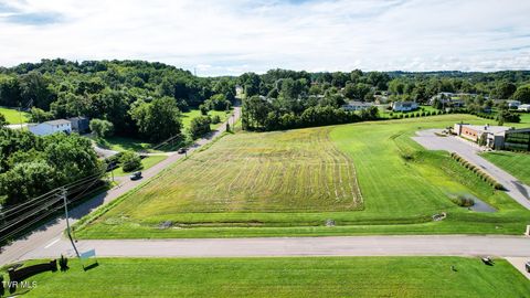 Vacant Land For Sale - LOT 4 Erwin Highway<br/> Greeneville, TN 37745