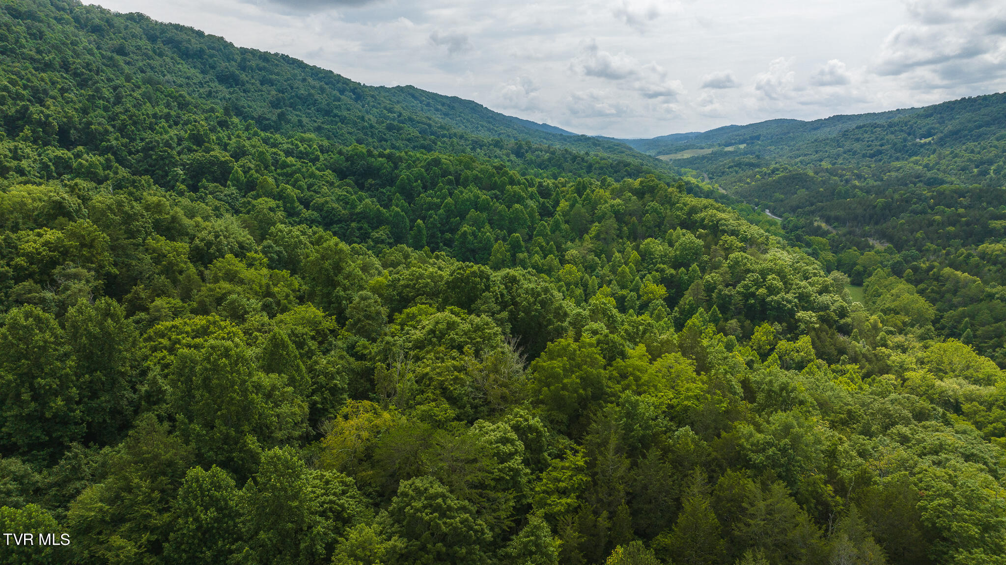 Lot 1 War Creek Road, Eidson, Tennessee image 18
