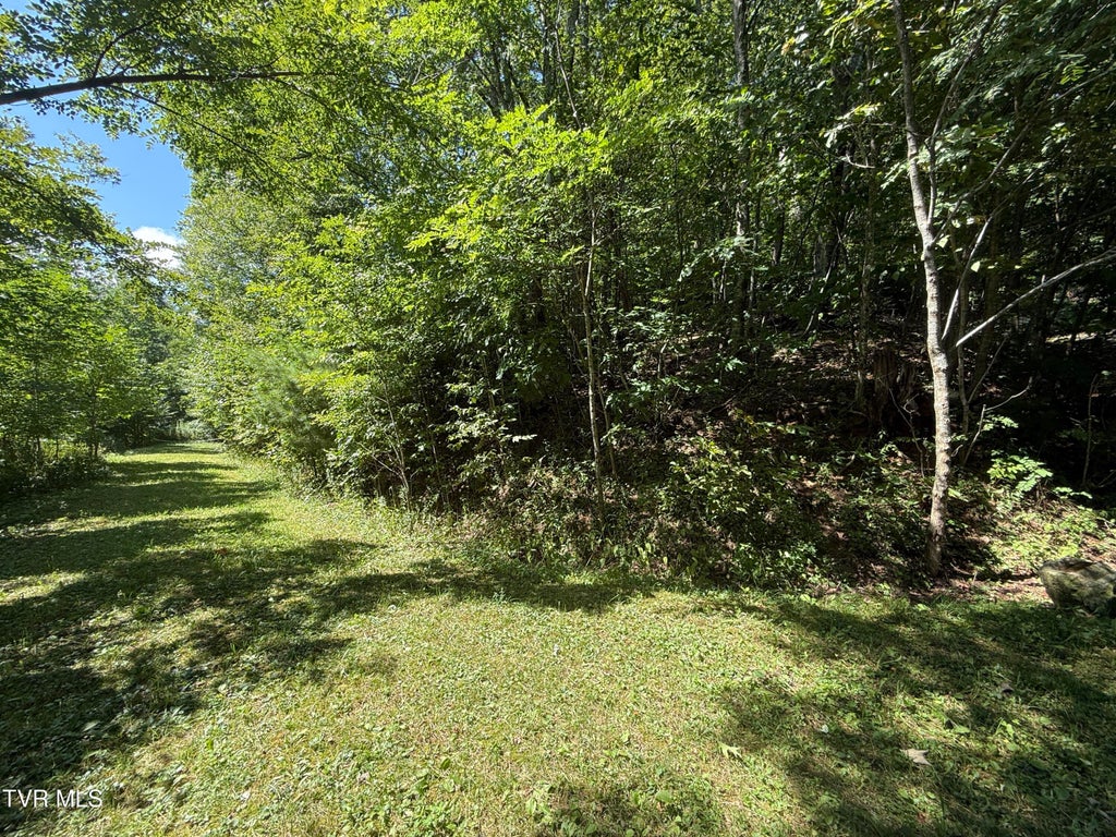 Photo of Tbd Overlook Drive #7, Roan Mountain, TN 37687 (MLS # 10000364)